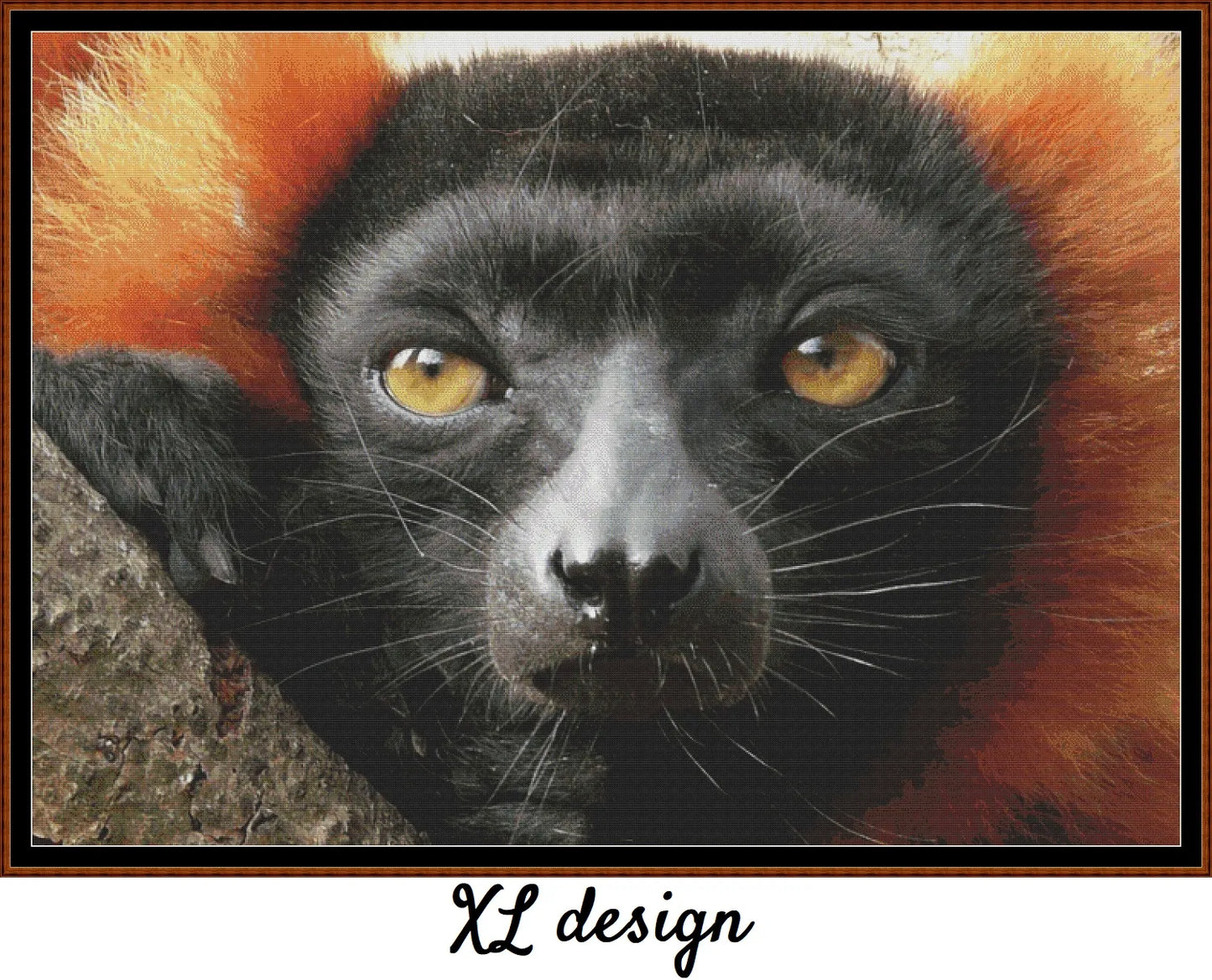 Red Buffed Lemur
