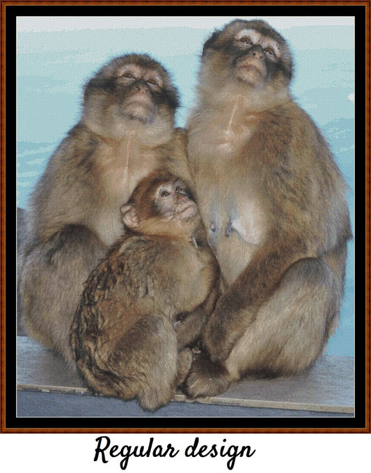 Macaque Family