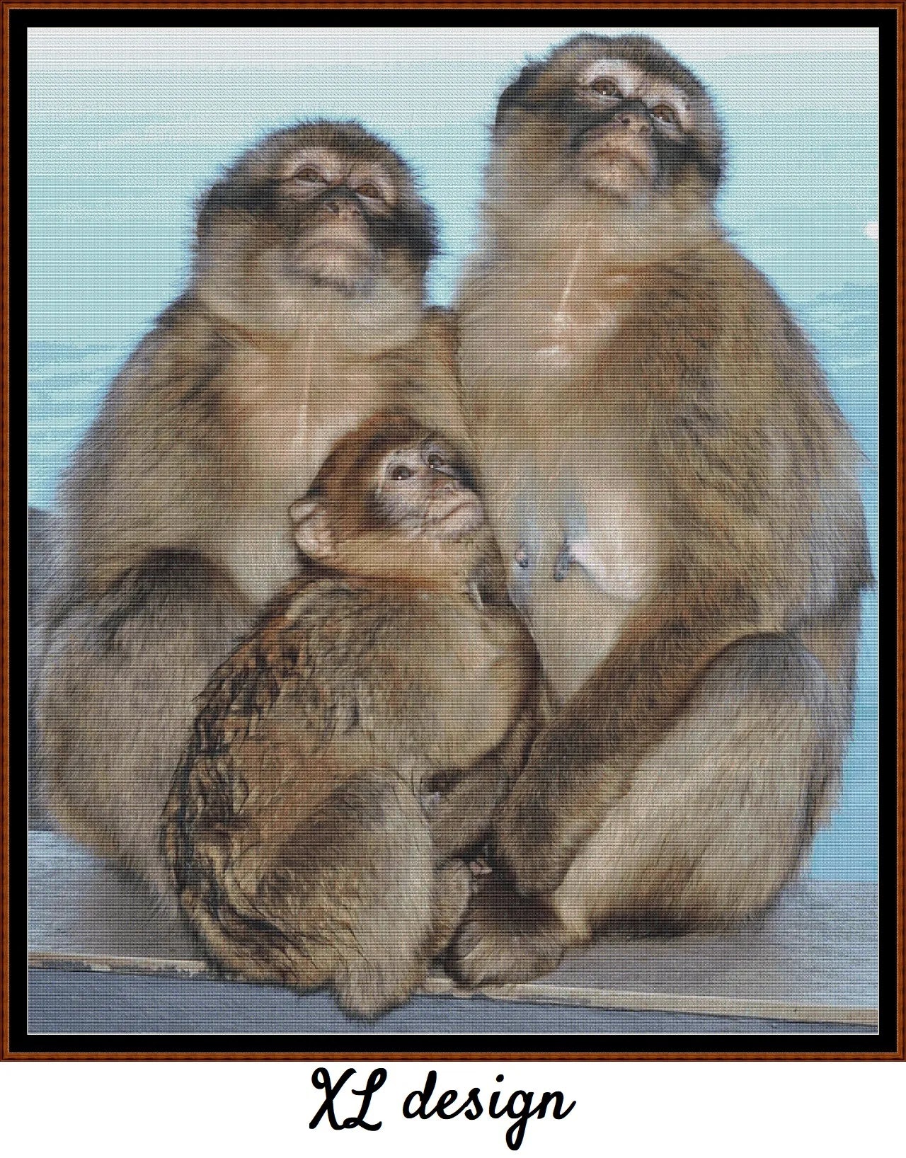 Macaque Family