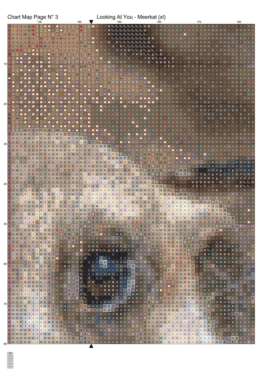 Looking At You - Meerkat
