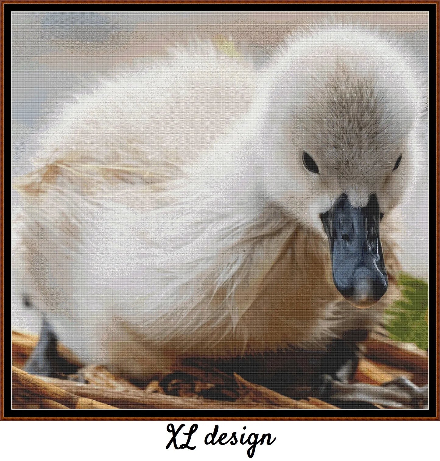 Baby Birds - Cygnet