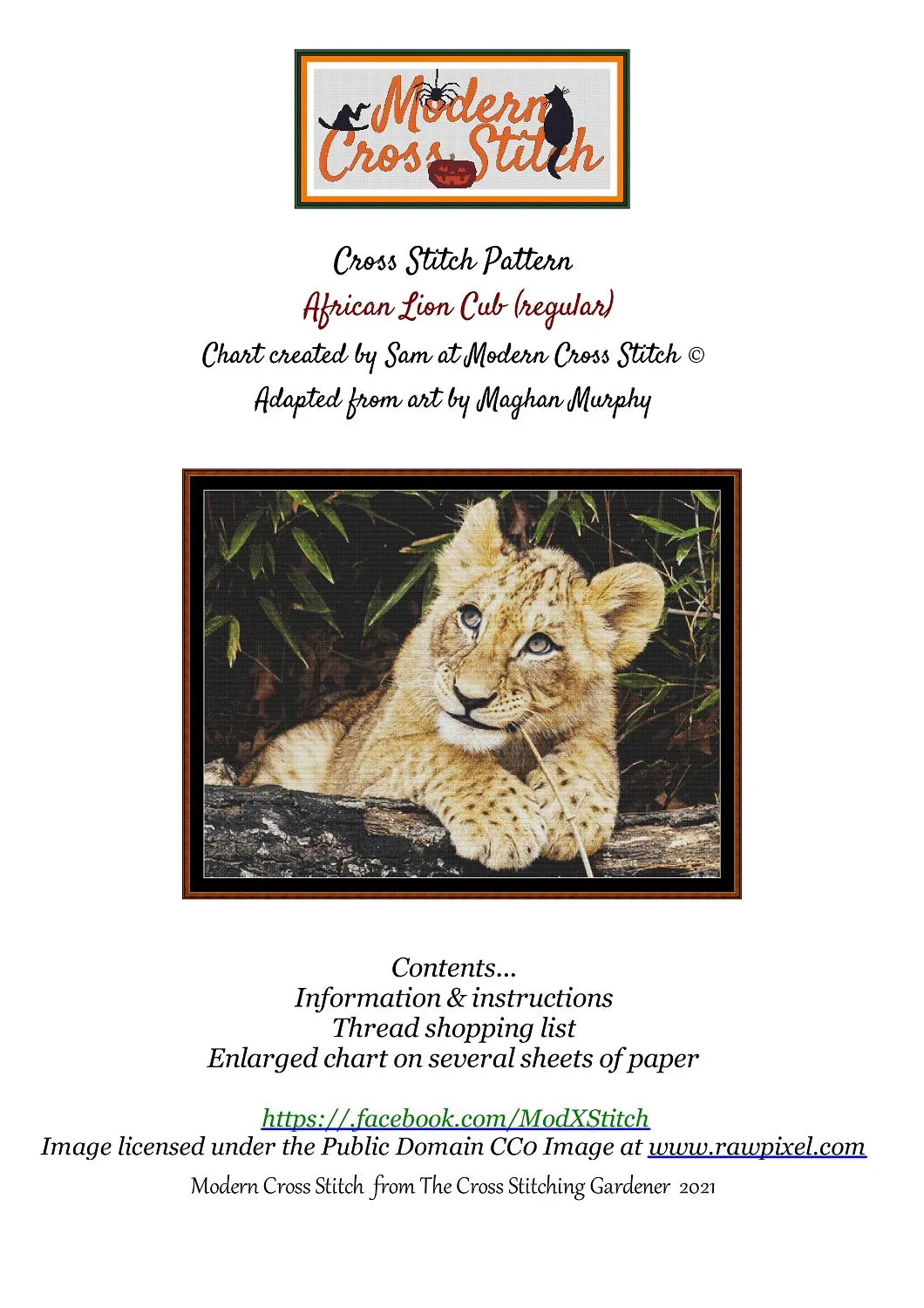 African Lion Cub
