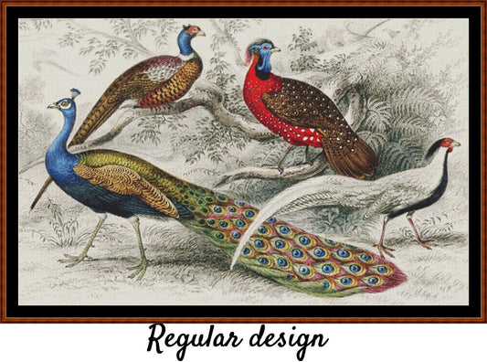 A History Of The Earth...- Peacocks