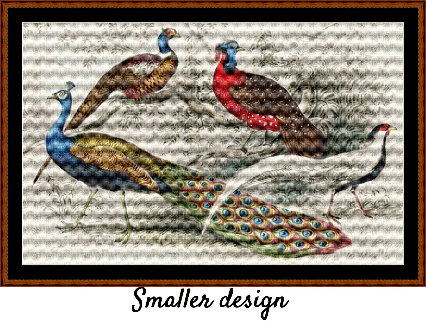 A History Of The Earth...- Peacocks