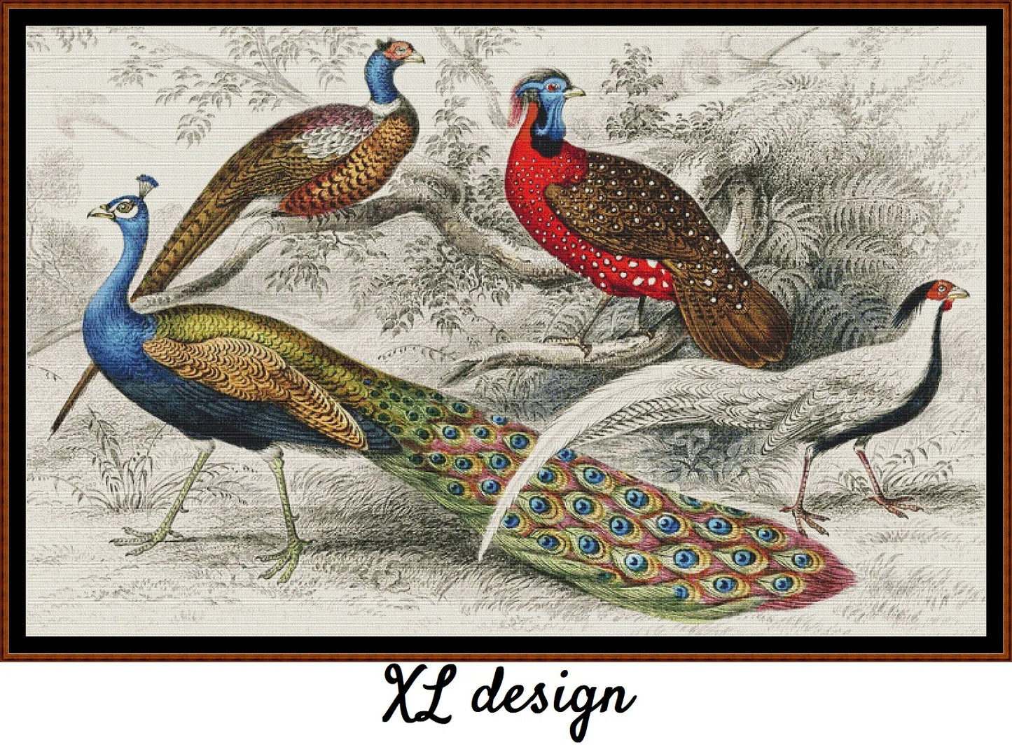 A History Of The Earth...- Peacocks