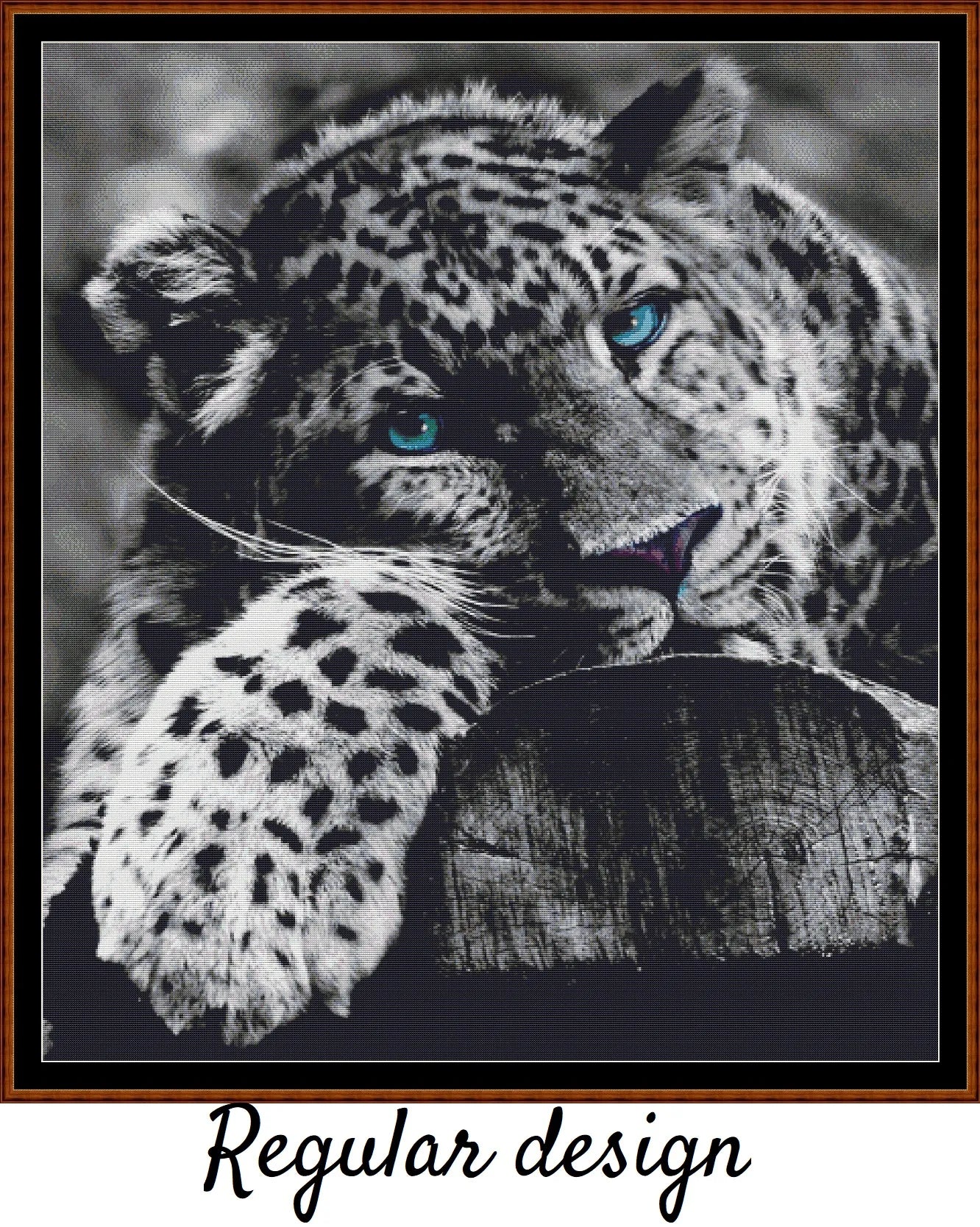 Blue-Eyed Leopard