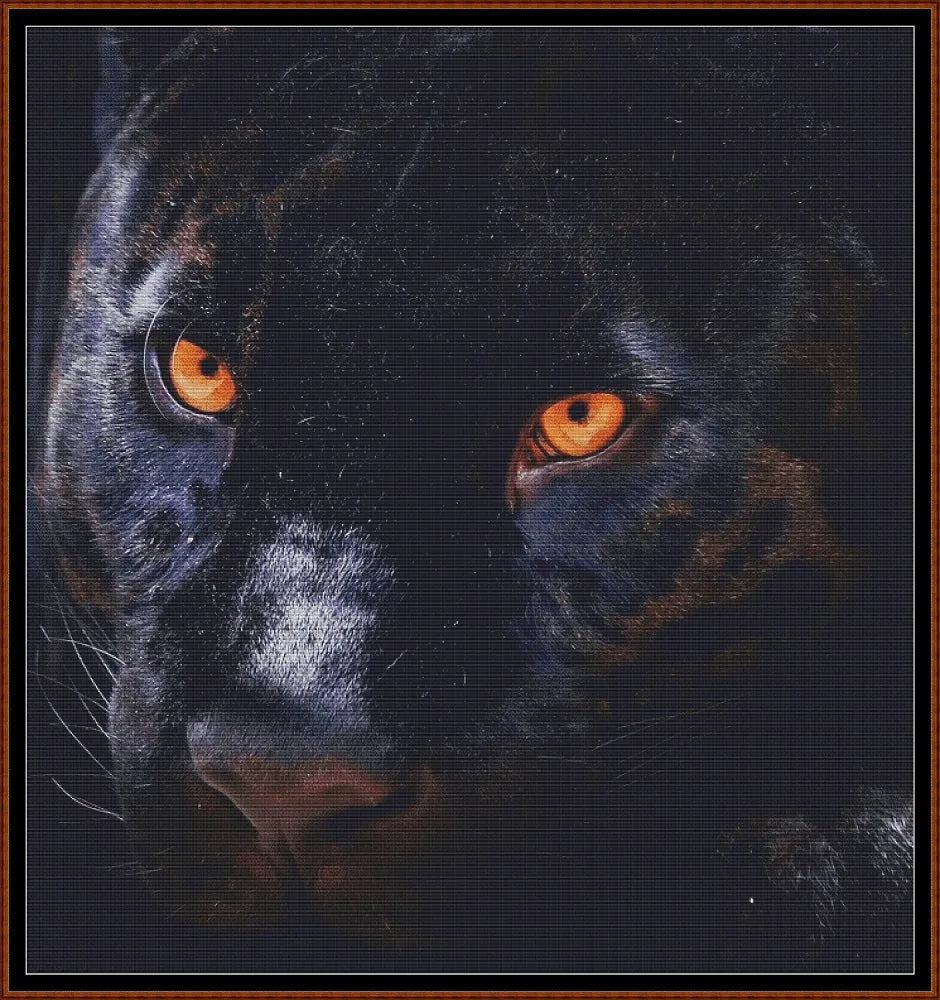 Panther Eyes