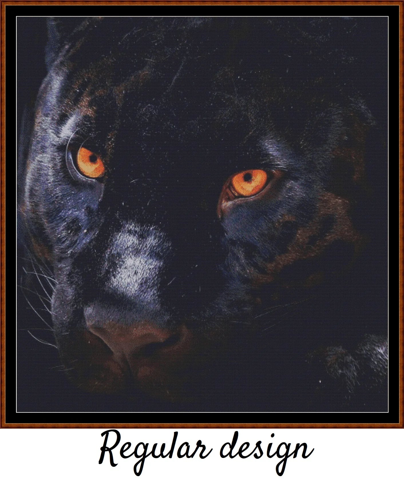 Panther Eyes