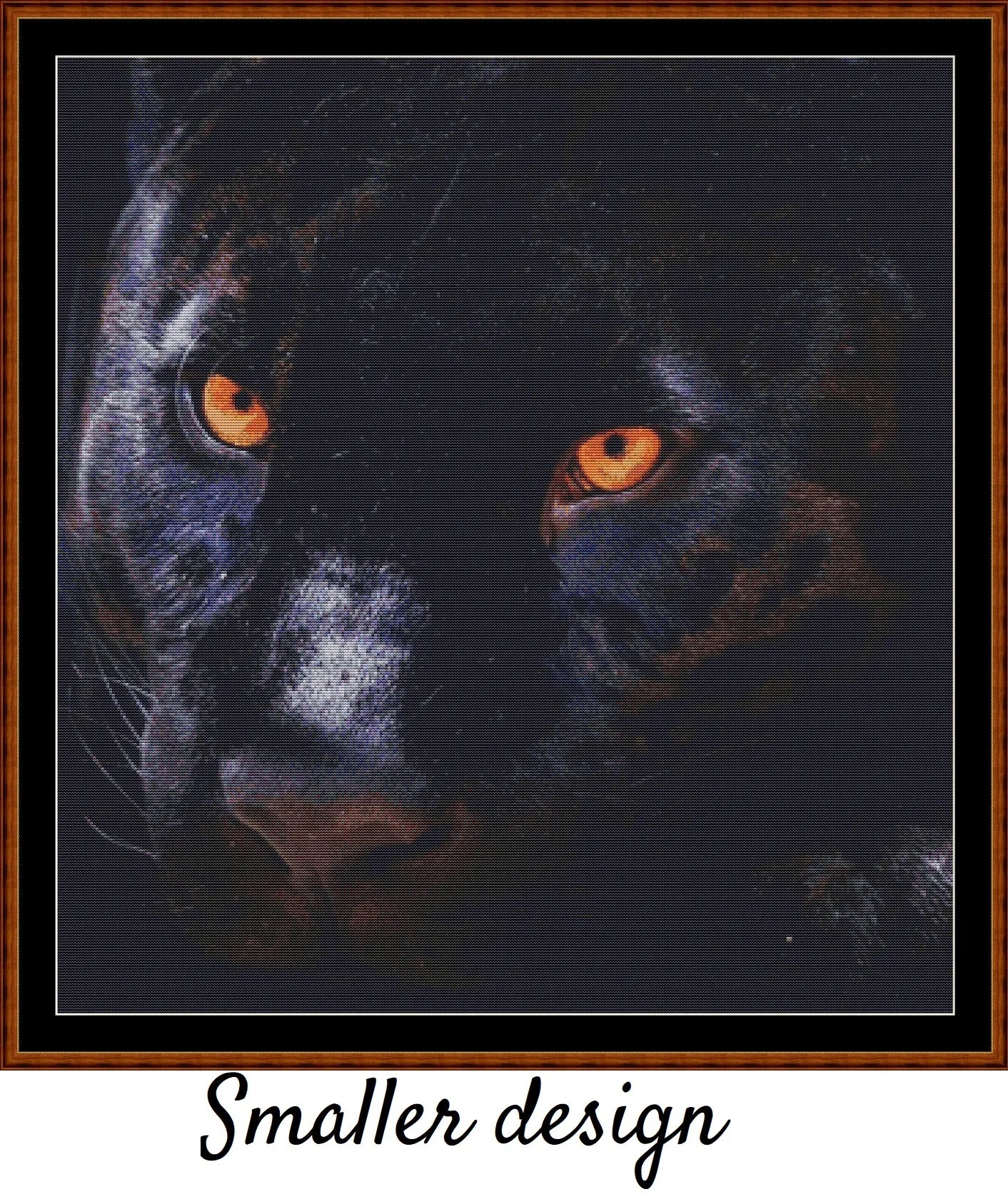 Panther Eyes
