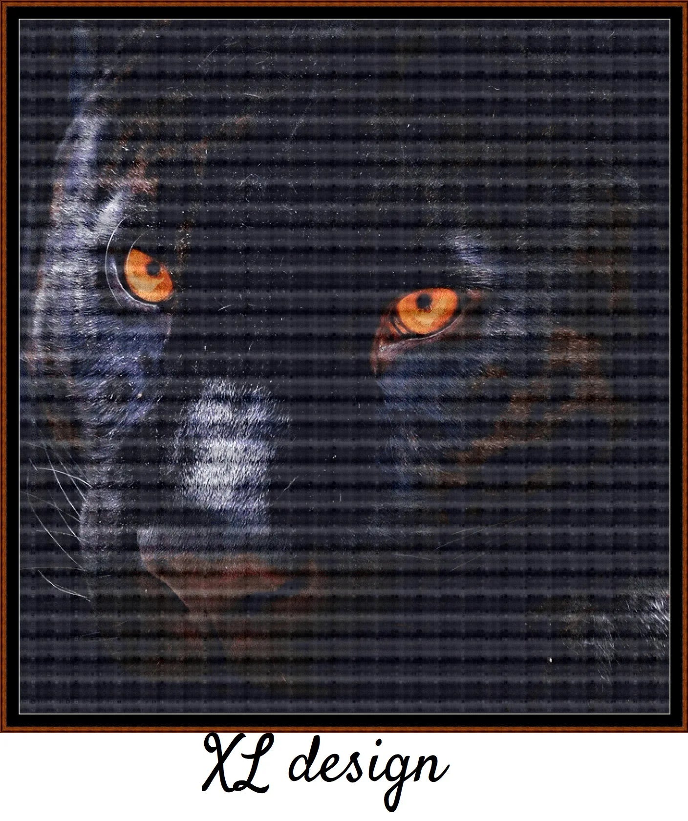 Panther Eyes