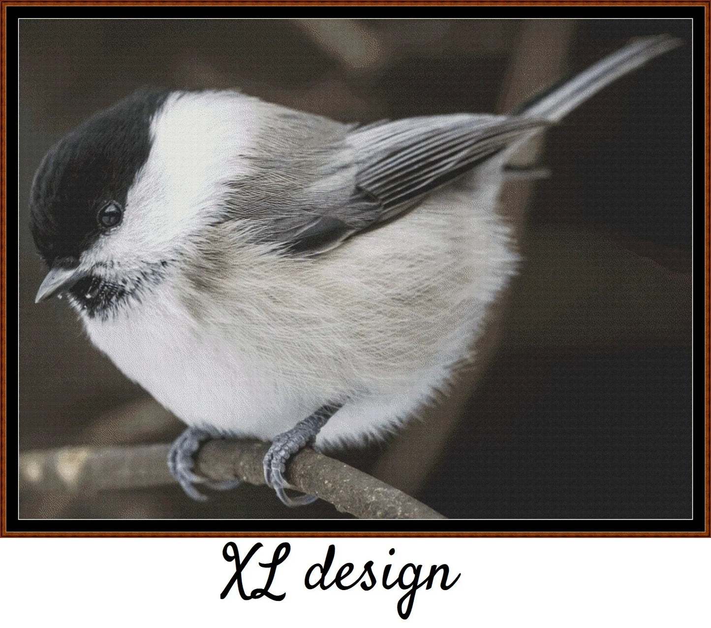Willow Tit