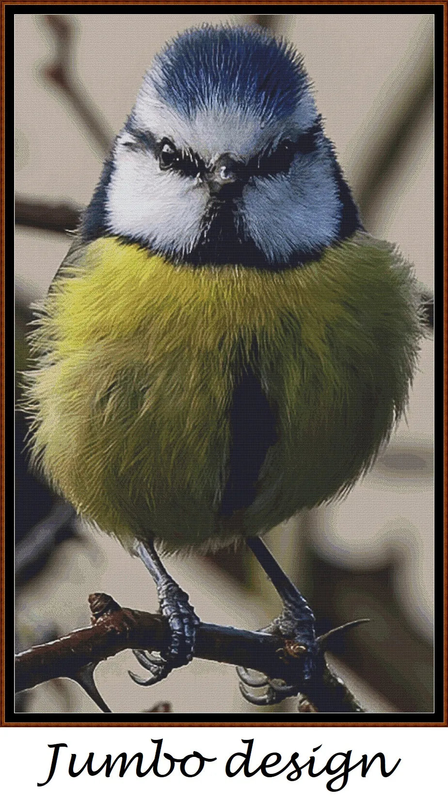 Angry Blue Tit