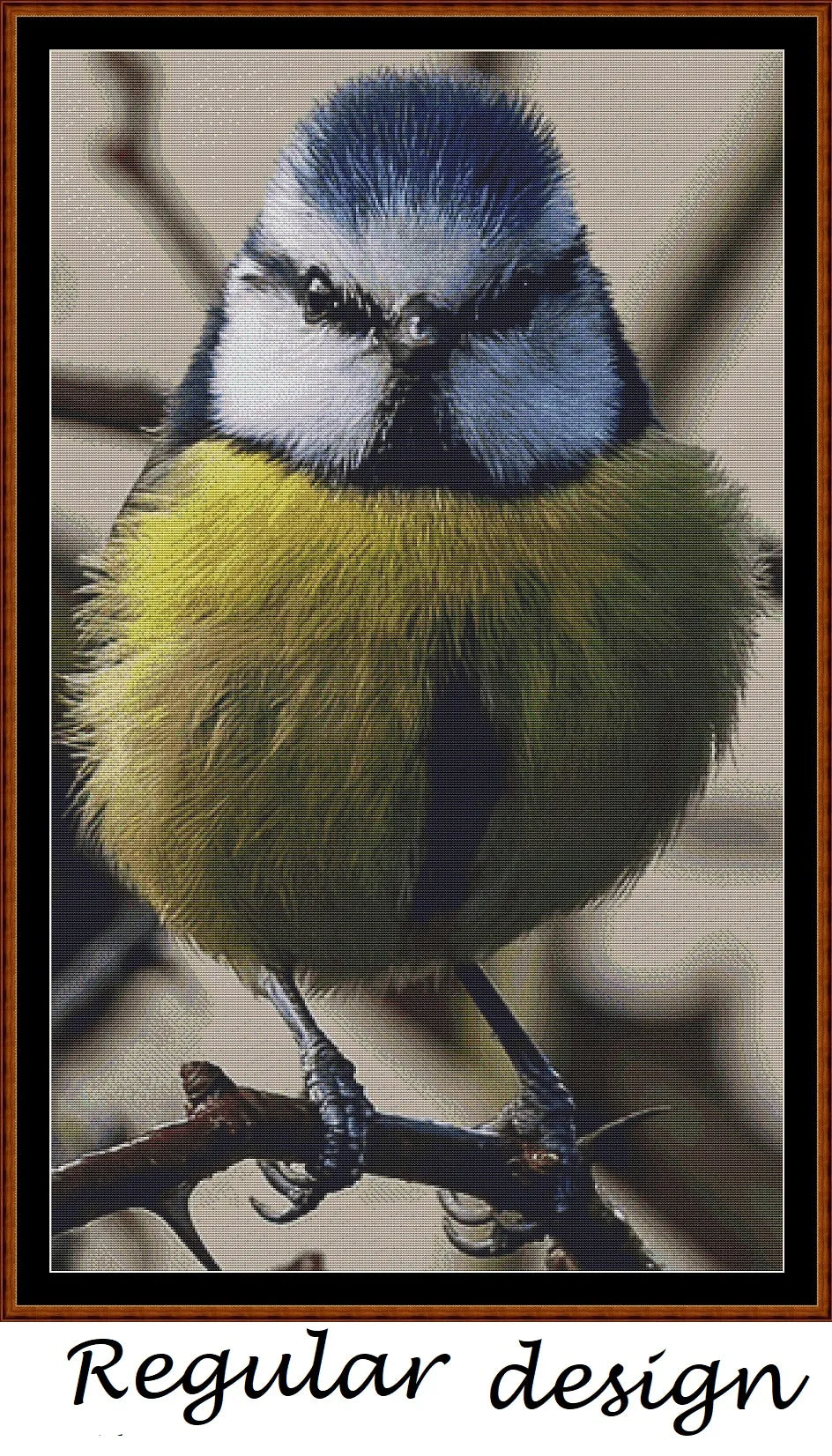 Angry Blue Tit