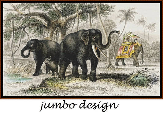 Asiatic Elephant And Caparisoned Elephant