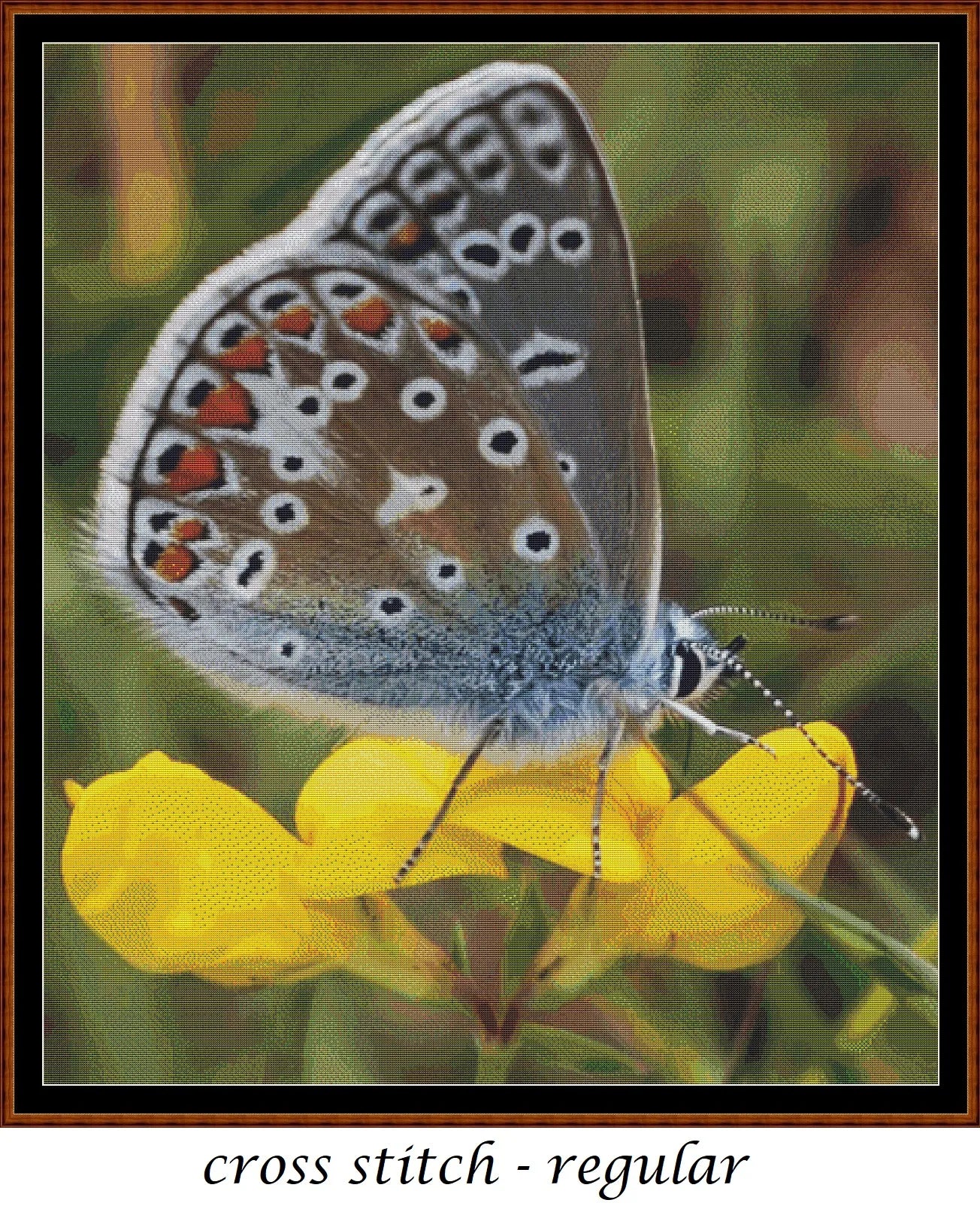 Expertly created from art by TheOtherKev, under Public Domain CC0 license, Common Blue Butterfly patterns. Common Blue Butterfly is a feline art pattern that comes as a full coverage pattern with no back-stitching. Additionally, Common Blue Butterfly is available in 2 different design sizes - cross stitch regular & XL And each sale includes both B&W and colour charts