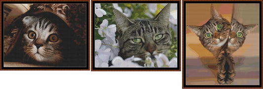 Hidey Kits 3 Charts Pack