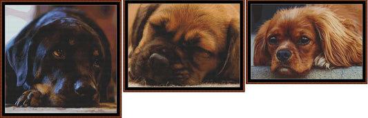 Sleepy Pups 1- 3 Charts Pack