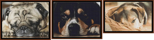 Sleepy Pups 2 - 3 Charts Pack