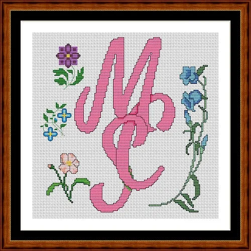 mXs icon spring
