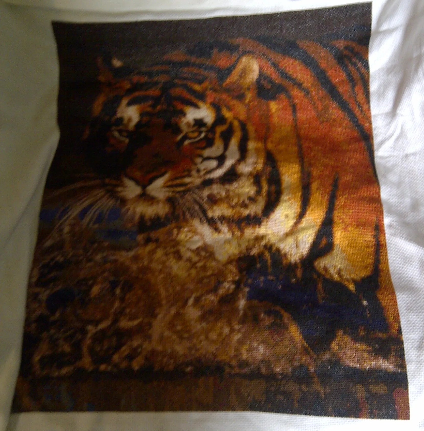 Bengal Tiger  