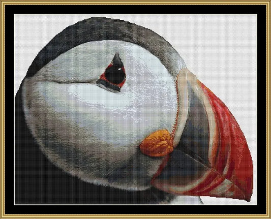 Puffin  