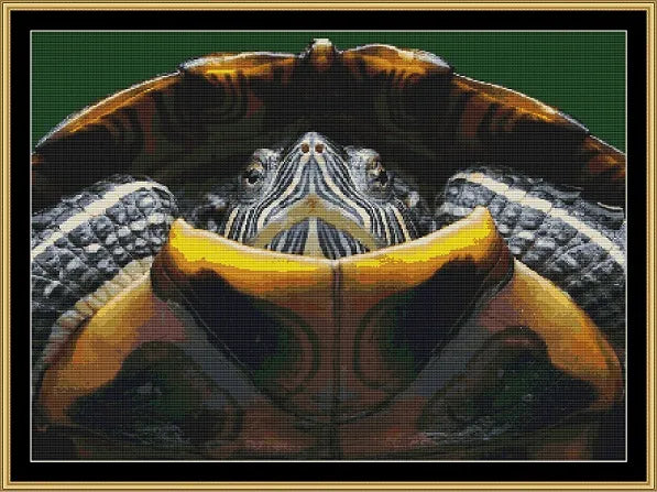 Hispaniolan Slider  