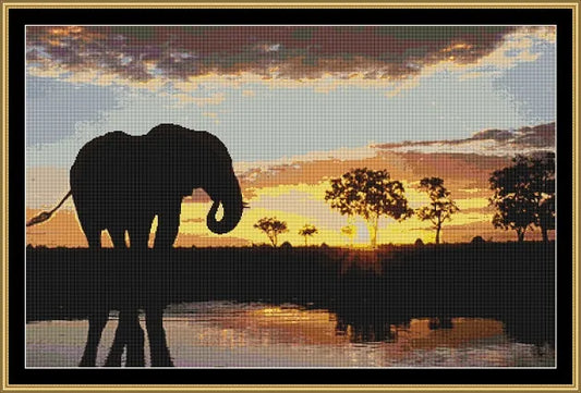 Elephant's Sunset  