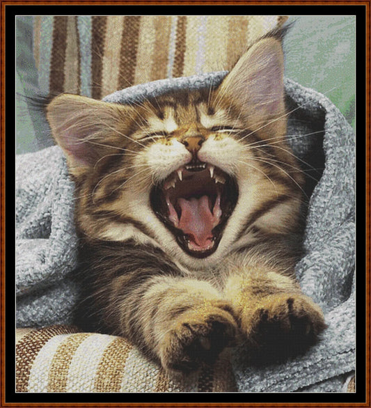 Waking Up kitten patterns are expertly created by Sam