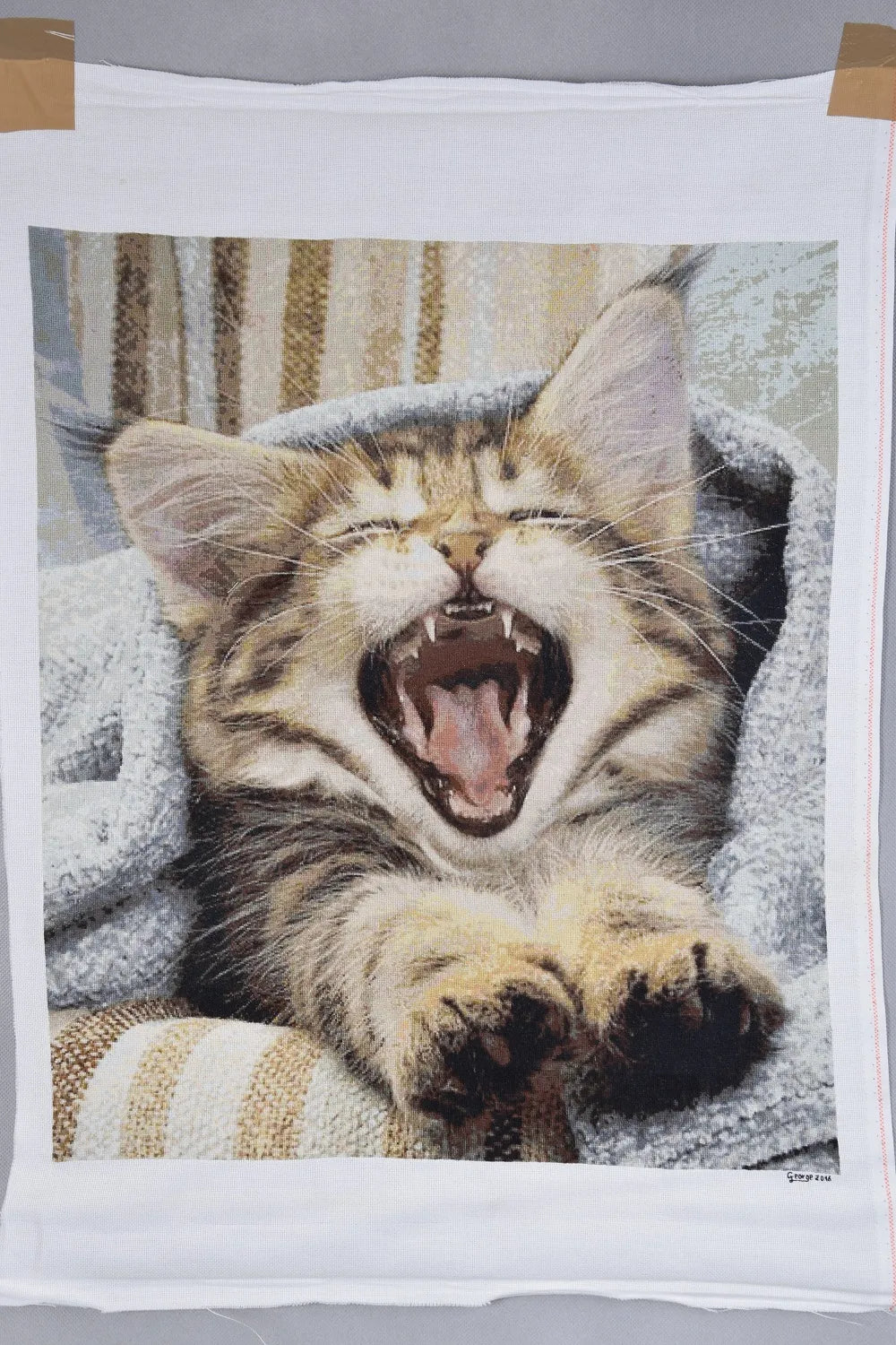 Waking Up