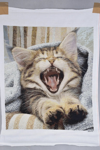 Waking Up