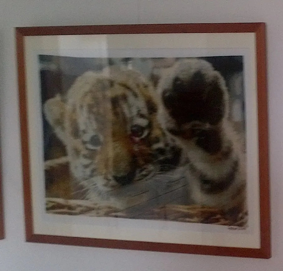 High Five  