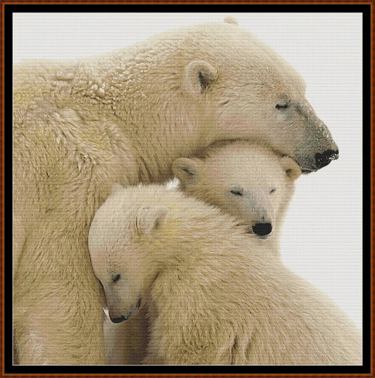 Polar Bear Family  