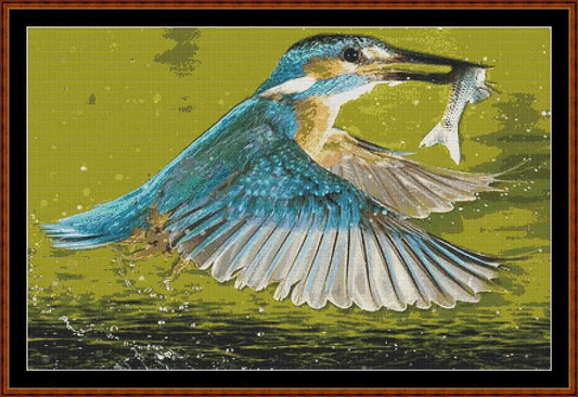 Kingfisher 2  