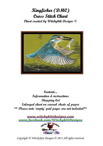 Kingfisher 2  