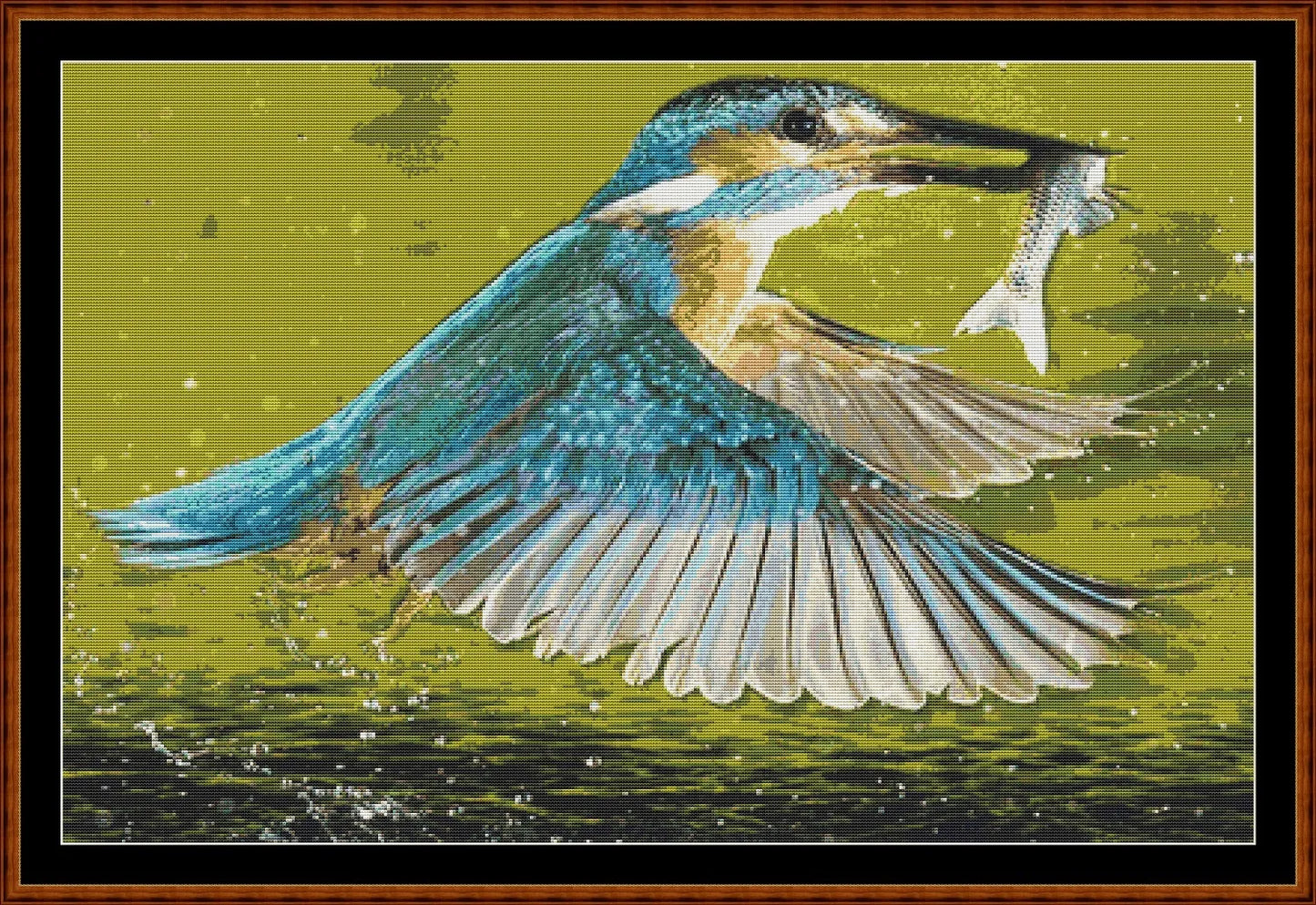 Kingfisher 2  