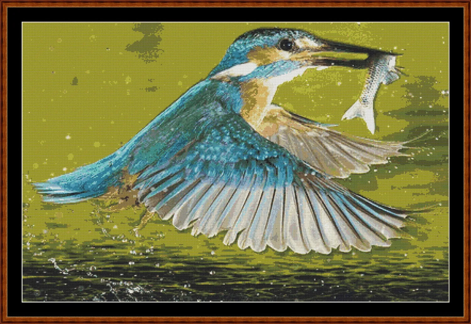 Kingfisher 2  