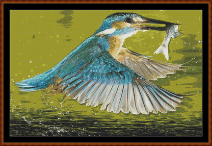 Kingfisher 2  