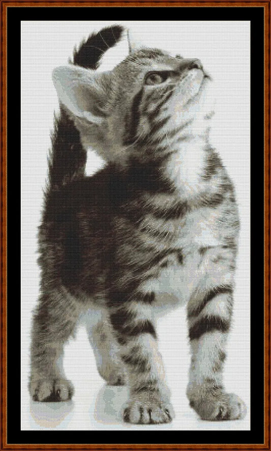 Kitty  