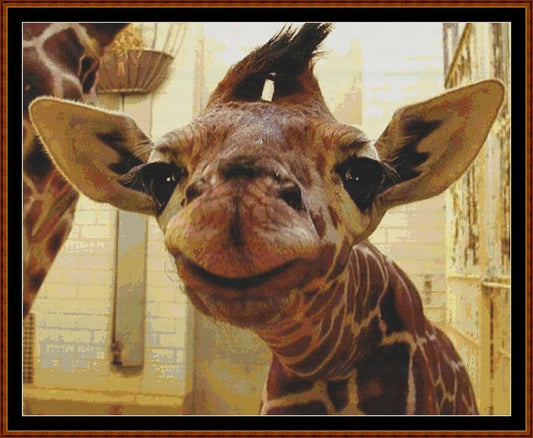 Giraffe Baby  