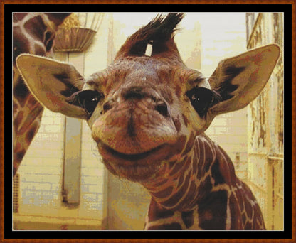 Giraffe Baby  