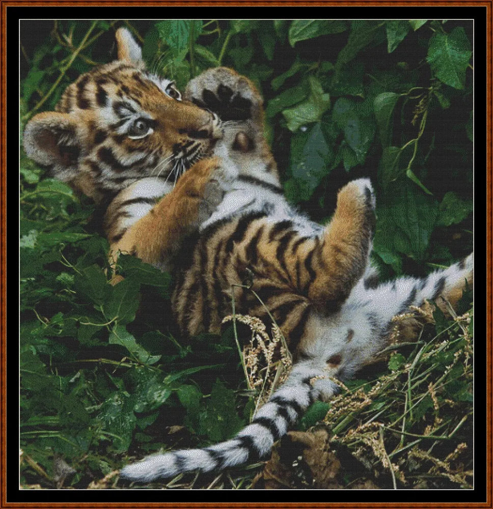 Tiger Kitty  