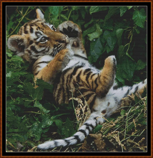 Tiger Kitty  