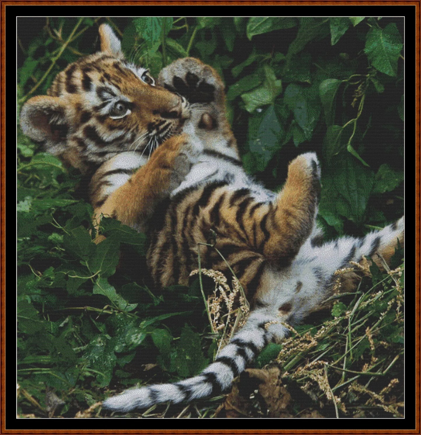 Tiger Kitty  