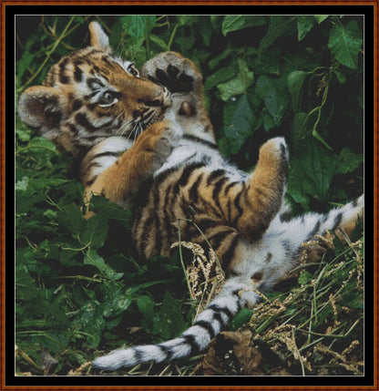 Tiger Kitty  