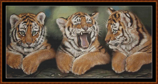 Tiger Kitties  