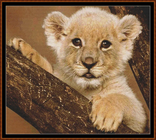 Lion Kitty  