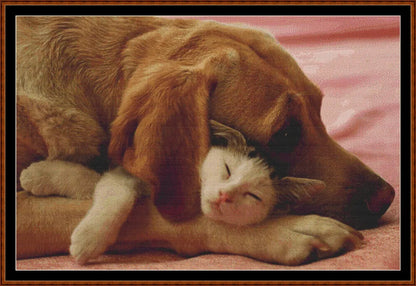 Safe Sleep  