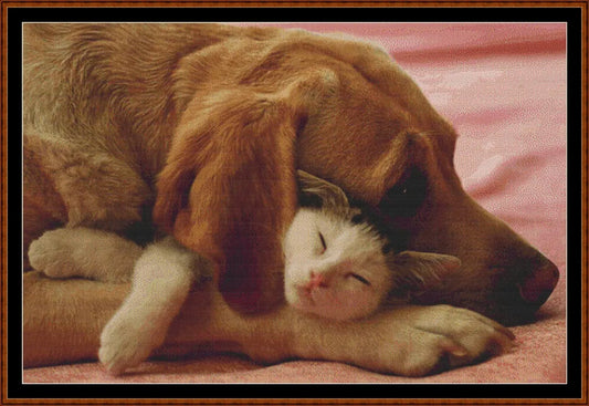Safe Sleep  