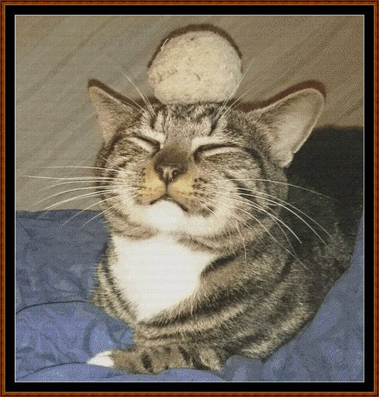 Balance Achieved  