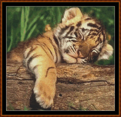 Nap  